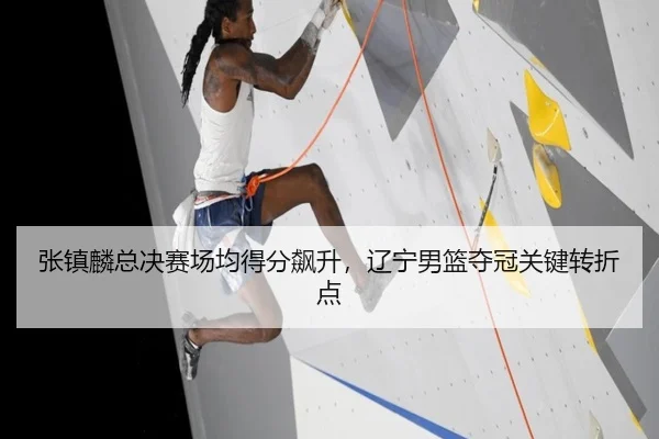 zhang-zhen-lin-zong-jue-sai-chang-jun-de-fen-biao-sheng-liao-ning-nan-lan-duo-guan-guan-jian-zhuan-zhe-dian-2-540.jpg